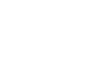 Perlmutter Institute for Global Business Leadership